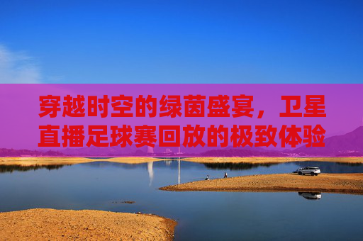 穿越时空的绿茵盛宴,卫星直播足球赛回放的极致体验