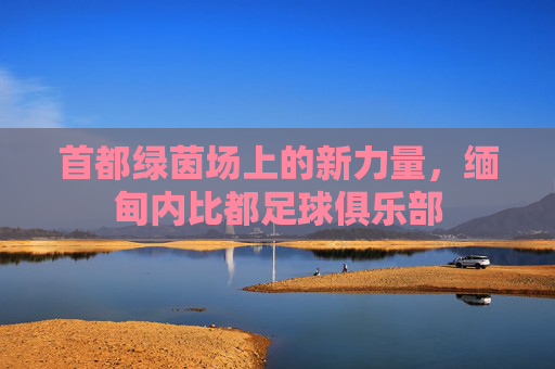 首都绿茵场上的新力量,缅甸内比都足球俱乐部