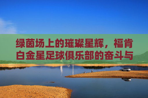 绿茵场上的璀璨星辉,福肯白金星足球俱乐部的奋斗与荣耀