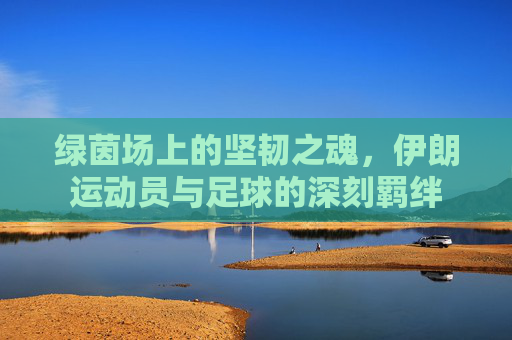 绿茵场上的坚韧之魂,伊朗运动员与足球的深刻羁绊