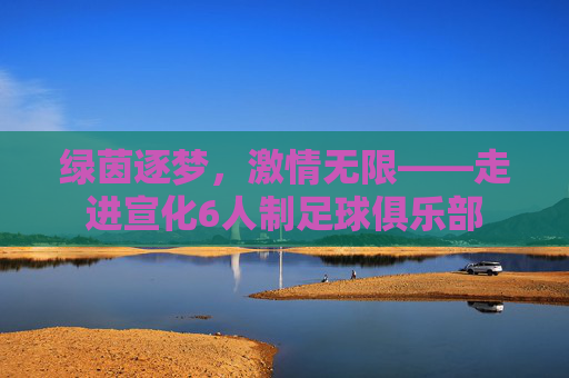 绿茵逐梦,激情无限——走进宣化6人制足球俱乐部