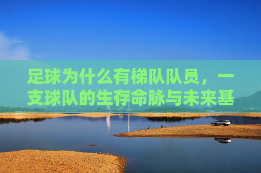 足球为什么有梯队队员,一支球队的生存命脉与未来基石