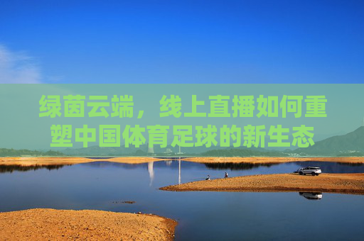 绿茵云端,线上直播如何重塑中国体育足球的新生态