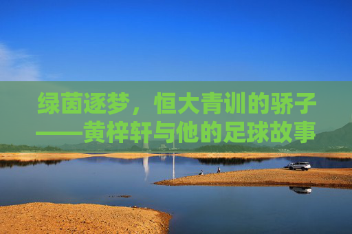 绿茵逐梦,恒大青训的骄子——黄梓轩与他的足球故事