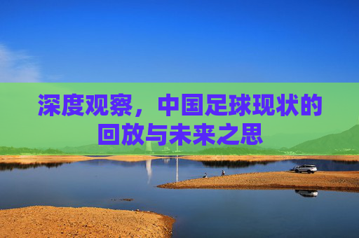 深度观察,中国足球现状的回放与未来之思