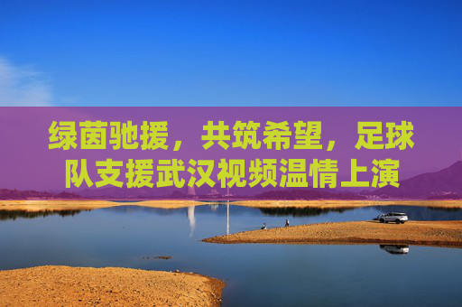 绿茵驰援，共筑希望，足球队支援武汉视频温情上演