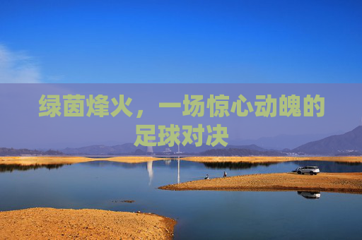 绿茵烽火，一场惊心动魄的足球对决