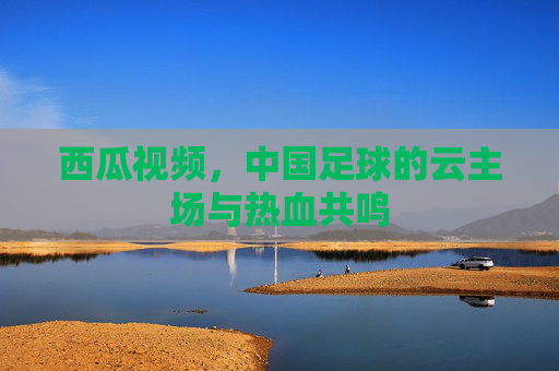 西瓜视频,中国足球的云主场与热血共鸣