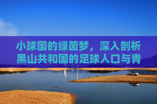 小球国的绿茵梦,深入剖析黑山共和国的足球人口与青训体系