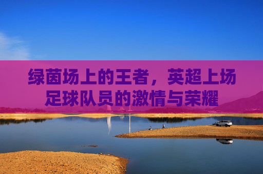 绿茵场上的王者,英超上场足球队员的激情与荣耀