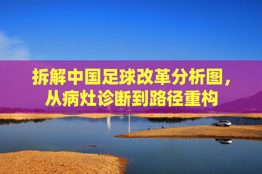 拆解中国足球改革分析图,从病灶诊断到路径重构