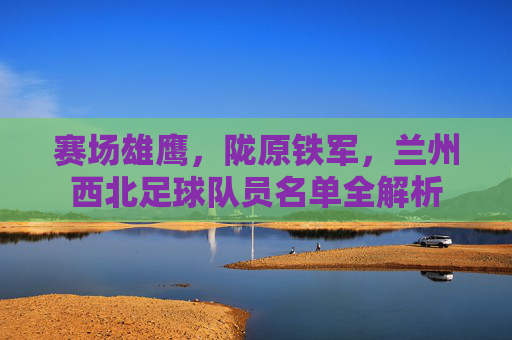 赛场雄鹰，陇原铁军，兰州西北足球队员名单全解析
