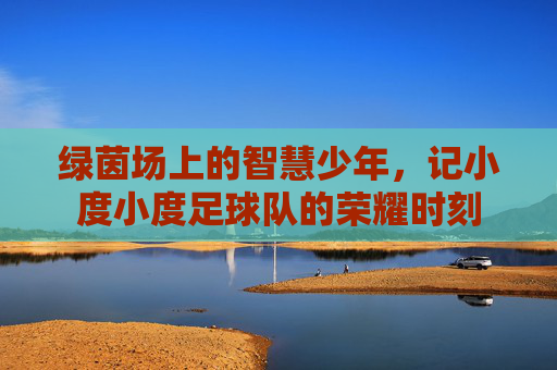 绿茵场上的智慧少年,记小度小度足球队的荣耀时刻