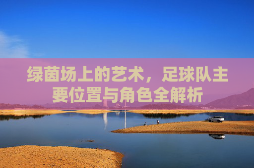 绿茵场上的艺术，足球队主要位置与角色全解析