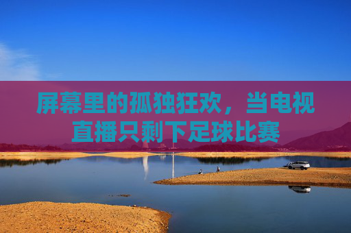 屏幕里的孤独狂欢,当电视直播只剩下足球比赛