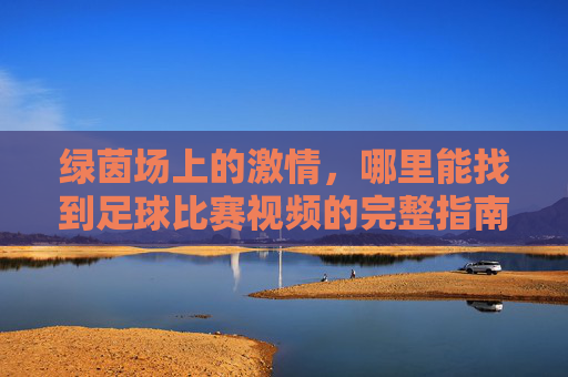 绿茵场上的激情,哪里能找到足球比赛视频的完整指南
