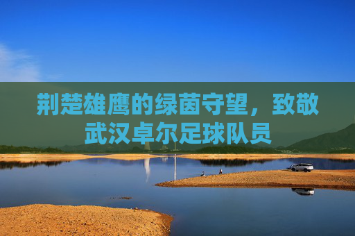 荆楚雄鹰的绿茵守望,致敬武汉卓尔足球队员