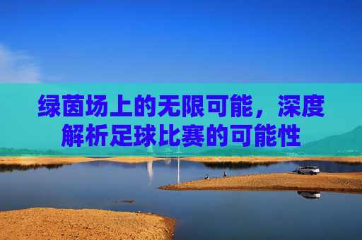绿茵场上的无限可能,深度解析足球比赛的可能性