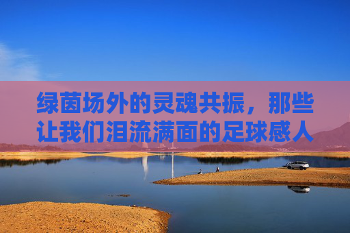 绿茵场外的灵魂共振,那些让我们泪流满面的足球感人短片