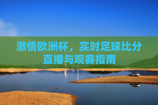 激情欧洲杯,实时足球比分直播与观赛指南