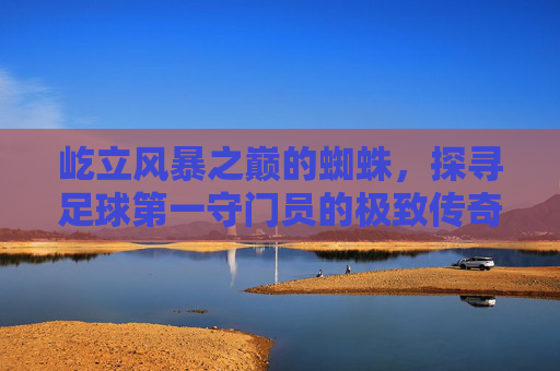 屹立风暴之巅的蜘蛛,探寻足球第一守门员的极致传奇