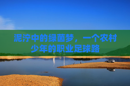 泥泞中的绿茵梦,一个农村少年的职业足球路