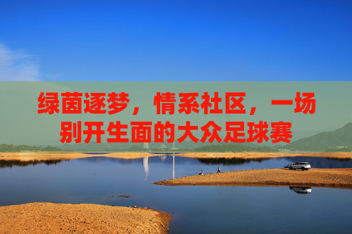 绿茵逐梦,情系社区,一场别开生面的大众足球赛