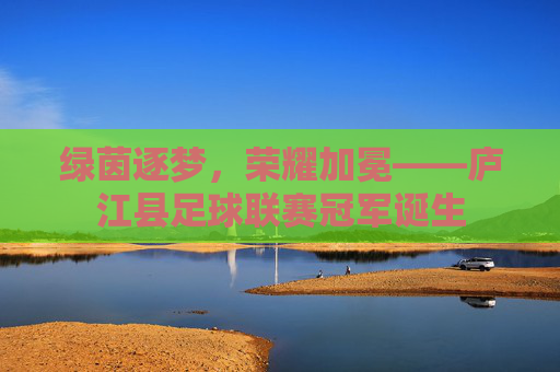 绿茵逐梦,荣耀加冕——庐江县足球联赛冠军诞生