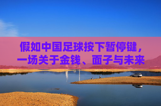 假如中国足球按下暂停键,一场关于金钱、面子与未来的大考
