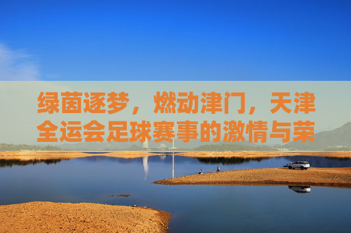 绿茵逐梦,燃动津门,天津全运会足球赛事的激情与荣耀