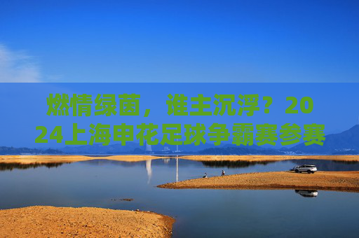 燃情绿茵,谁主沉浮?2024上海申花足球争霸赛参赛名单正式公布