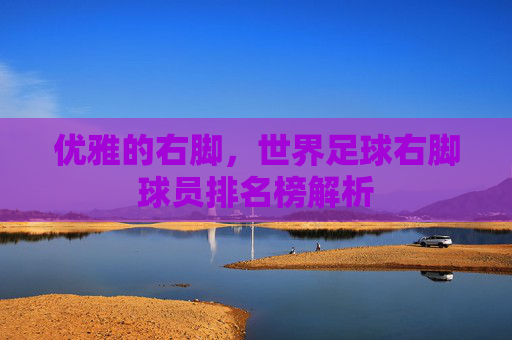优雅的右脚,世界足球右脚球员排名榜解析