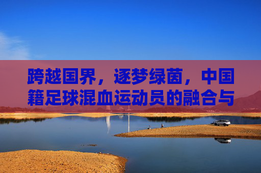 跨越国界,逐梦绿茵,中国籍足球混血运动员的融合与新生