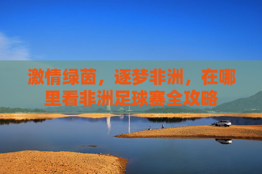 激情绿茵,逐梦非洲,在哪里看非洲足球赛全攻略
