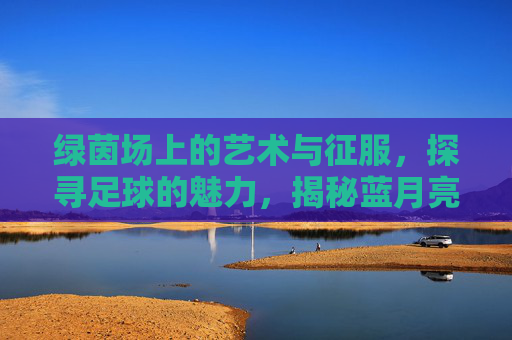 绿茵场上的艺术与征服,探寻足球的魅力,揭秘蓝月亮曼城究竟是谁