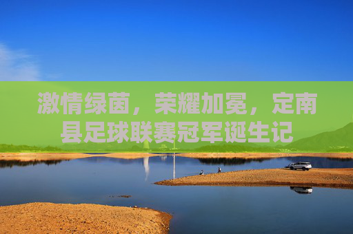 激情绿茵，荣耀加冕，定南县足球联赛冠军诞生记