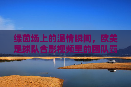 绿茵场上的温情瞬间，欧美足球队合影视频里的团队羁绊
