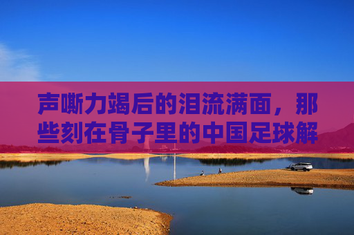 声嘶力竭后的泪流满面,那些刻在骨子里的中国足球解说词