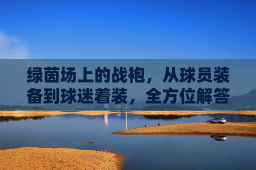绿茵场上的战袍,从球员装备到球迷着装,全方位解答足球比赛穿什么衣服