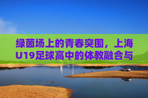 绿茵场上的青春突围,上海U19足球高中的体教融合与未来展望