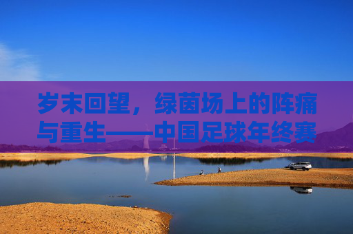 岁末回望,绿茵场上的阵痛与重生——中国足球年终赛综述