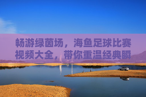 畅游绿茵场,海鱼足球比赛视频大全,带你重温经典瞬间