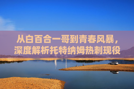 从白百合一哥到青春风暴,深度解析托特纳姆热刺现役豪华阵容