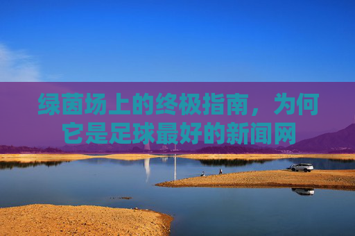 绿茵场上的终极指南，为何它是足球最好的新闻网