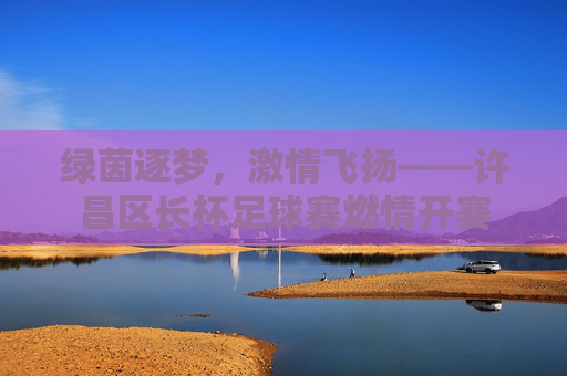 绿茵逐梦,激情飞扬——许昌区长杯足球赛燃情开赛
