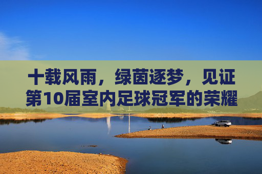 十载风雨,绿茵逐梦,见证第10届室内足球冠军的荣耀时刻