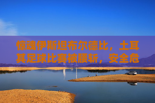 惊魂伊斯坦布尔德比,土耳其足球比赛被腰斩,安全危机引爆舆论风暴