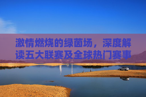 激情燃烧的绿茵场，深度解读五大联赛及全球热门赛事动态