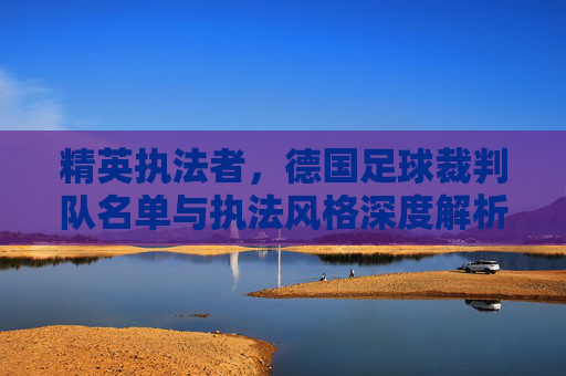 精英执法者,德国足球裁判队名单与执法风格深度解析