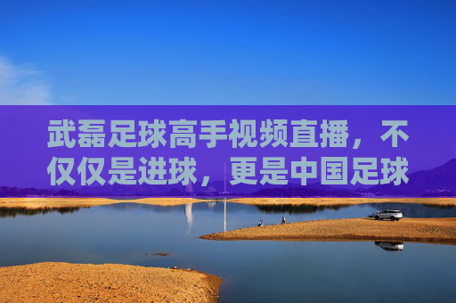 武磊足球高手视频直播,不仅仅是进球,更是中国足球的硬核实力展示